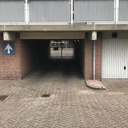 Apartment 16 *